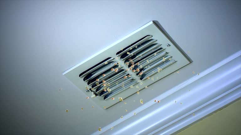 Best Air Duct Cleaning Near Me  in Lake St Louis, MO