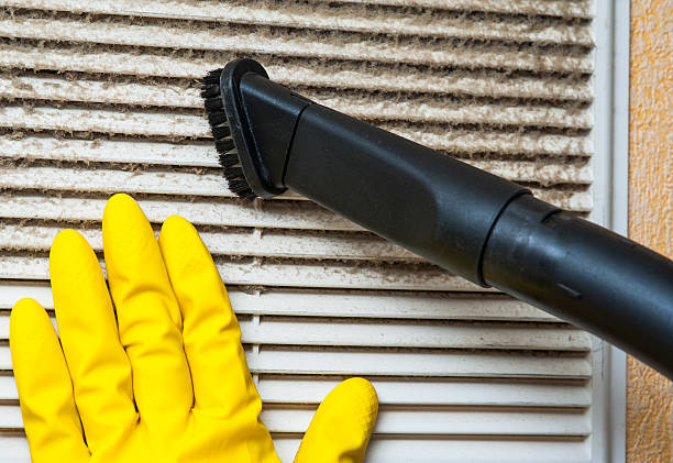 Best Dryer Vent Cleaning Services  in Lake St Louis, MO